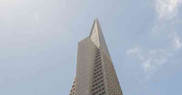 外国语单招大数据的行业文章