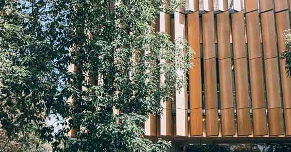 10万人工智能机器人的行业前景