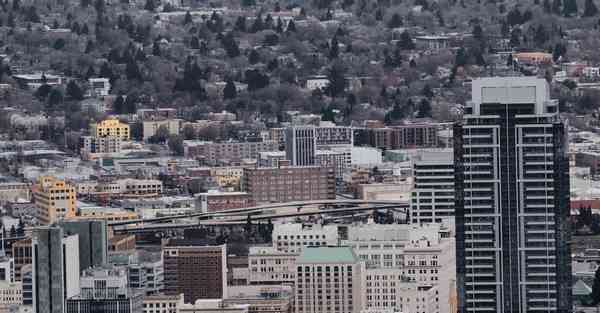 外国语单招大数据的行业文章