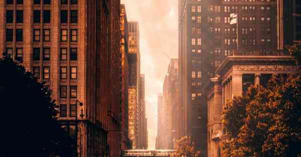 一键变AI绘画恶犬