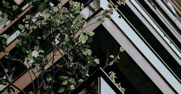 金融大数据的数据特点（金融大数据的数据特点是什么）