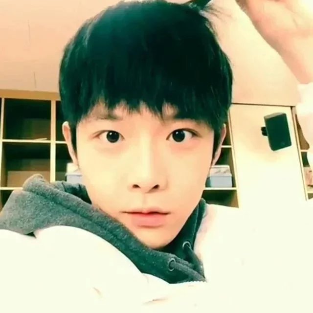 湛洋紫桂
