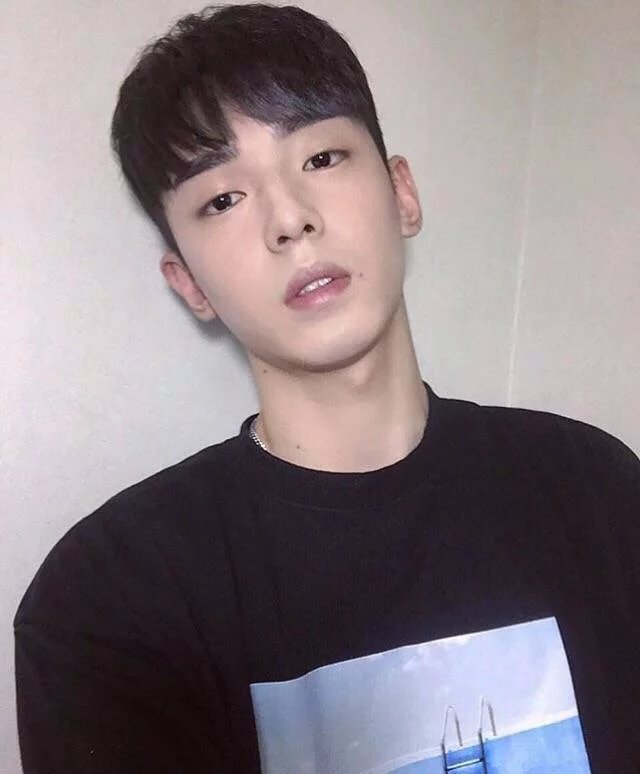 桑承民佳