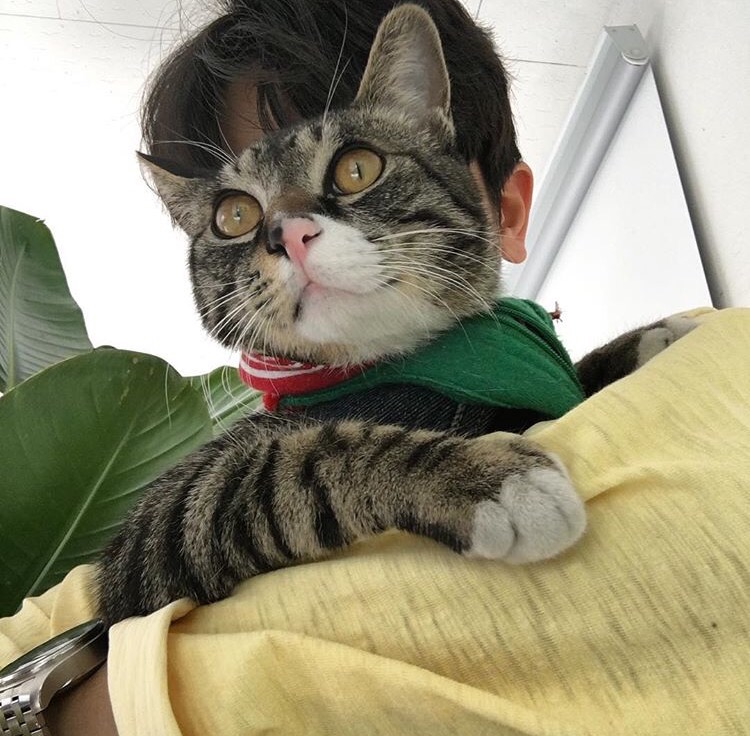 倪刚环博