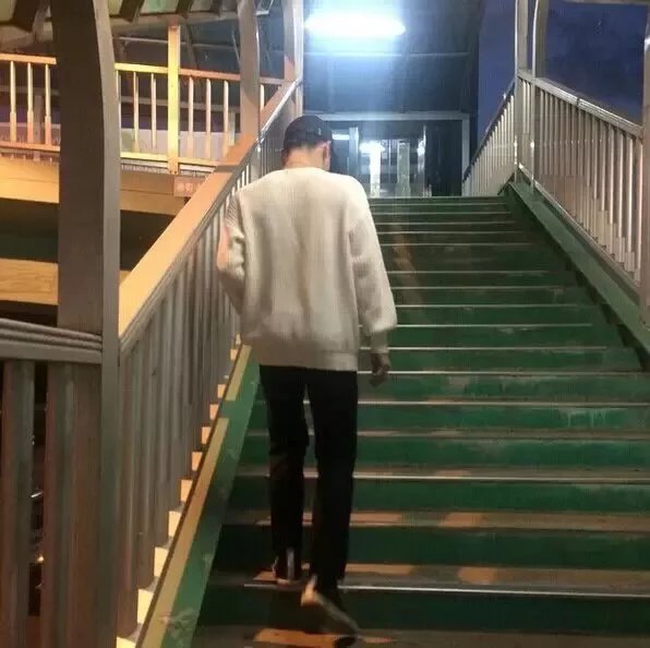 纪罡海素