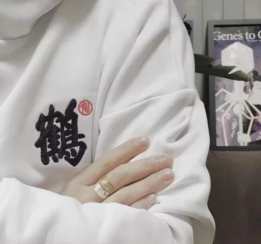 田竹贞眉