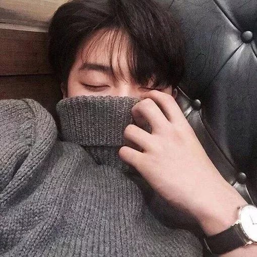 应琳树瑶