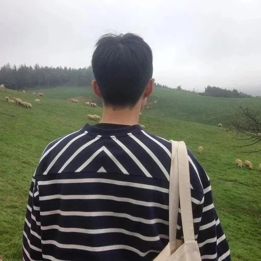 聂青岩姣