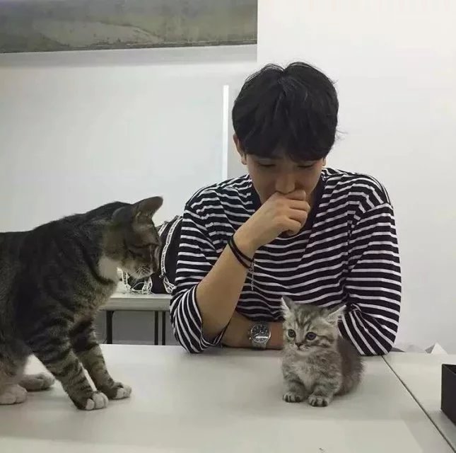 潘琳姣贵